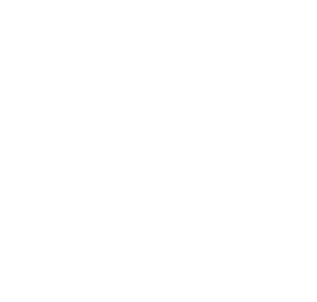 Princess Hotels & Resorts